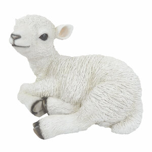 Vivid Arts Lamb Sitting