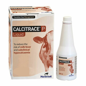 Calcitrace P Liquid 500ml