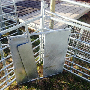 Buffalo Steel Lamb Adoption Gate