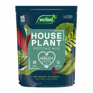 Westland Houseplant Potting Mix Peat Free 4L