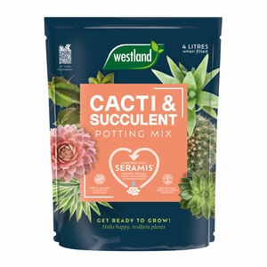 Westland Cacti & Succulent Potting Mix Peat Free 4L