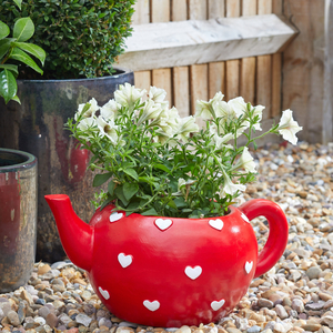 Teapot Heart Planter