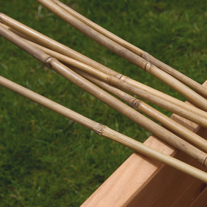 Bamboo Canes 4ft Pack of 10