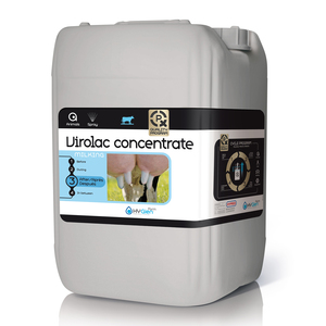 Virolac Concentrated Teat Spray 22kg