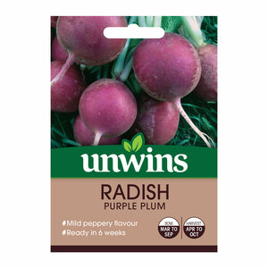 Unwins Radish Purple Plum Seeds