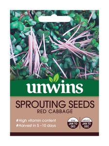 Unwins Sprouting Seeds Red Cabbage Seeds