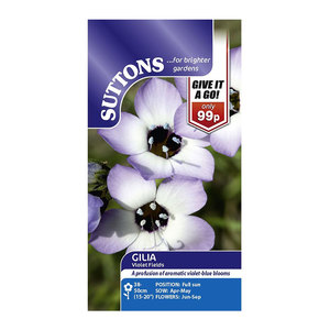 Suttons Seed Gilia Violet Fields