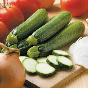 Suttons Seed Courgette Defender F1