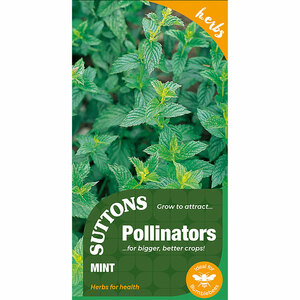 Suttons Seed Mint