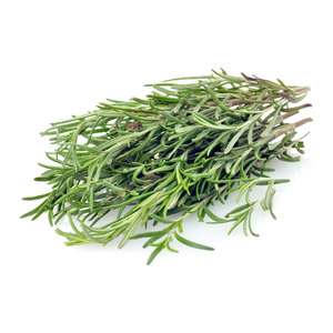 Suttons Seed Rosemary