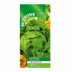 Suttons Seeds Lettuce Webbs Wonderful