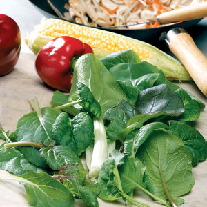 Suttons Seeds Speedy Veg - Leaf Salad Stir Fry Mix