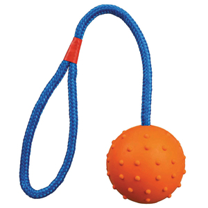 Rubber Ball on Rope
