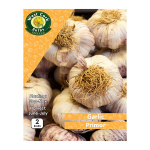Garlic Primor 2 Bulbs Prepack