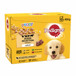 Pedigree Dog Food Pouches Jelly Junior 12x100g